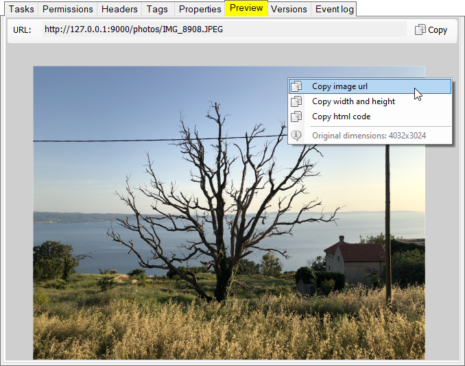 S3 Browser Preview feature. Image viewer with auto-resize
