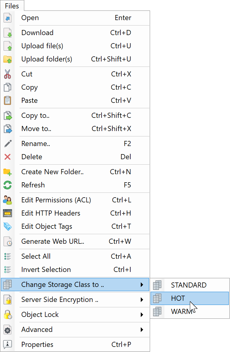 Files menu showing only STANDARD, HOT, and WARM after replacing the class list