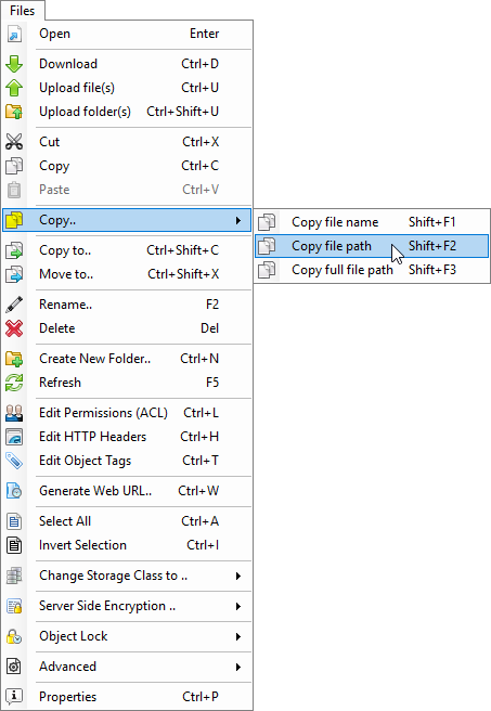 Copy Amazon S3 file name or path from the Files menu
