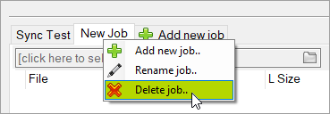 delete sync job