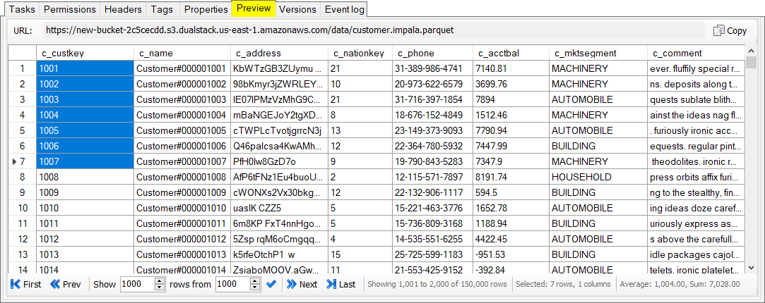 S3 Browser Preview Feature. Table viewer.