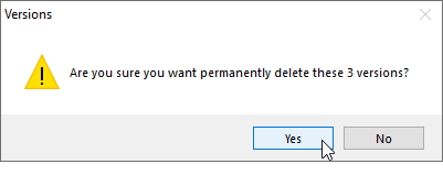 Confirm versions deletion